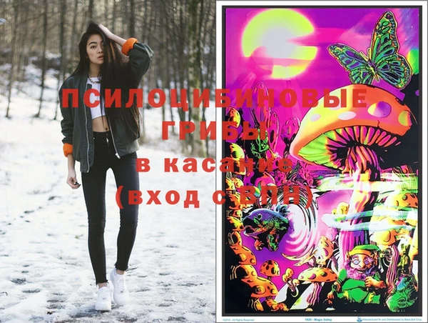 скорость Богородск