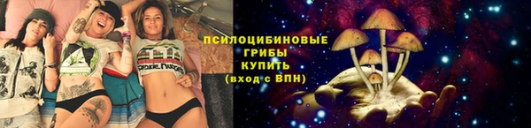 скорость Богородск