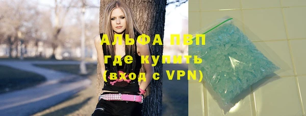 mdpv Богородицк
