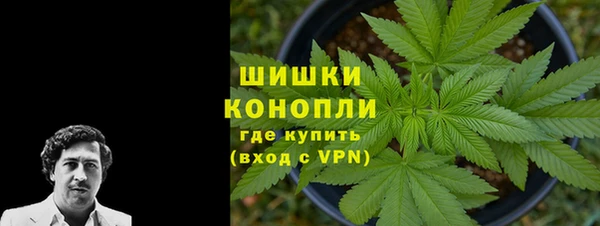 mdpv Богородицк