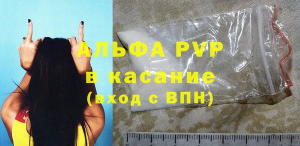 спиды Богданович