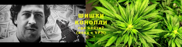 спиды Богданович