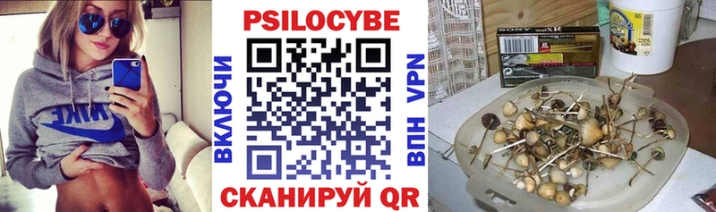 Купить где  Новая Ладога  Псилоцибиновые грибы MAGIC MUSHROOMS 